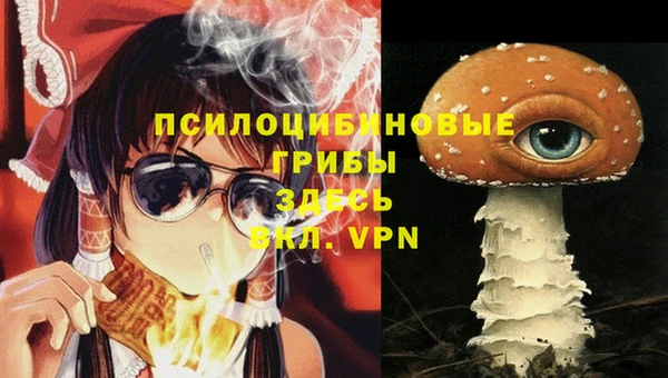 не бодяженный Нефтегорск