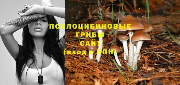метадон Нея