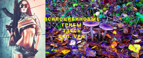 метадон Нея