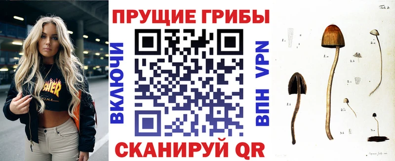 купить наркотик  Ухта  Псилоцибиновые грибы прущие грибы 