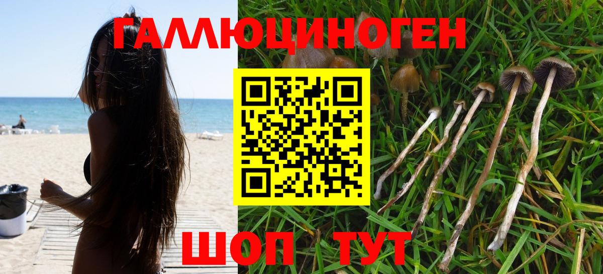 Псилоцибиновые грибы Cubensis  Вход с VPN  Ухта 